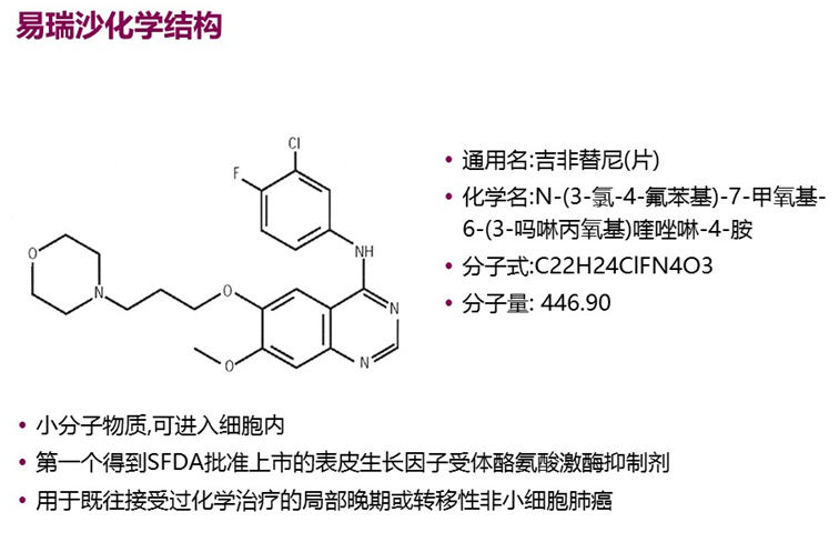 易瑞沙